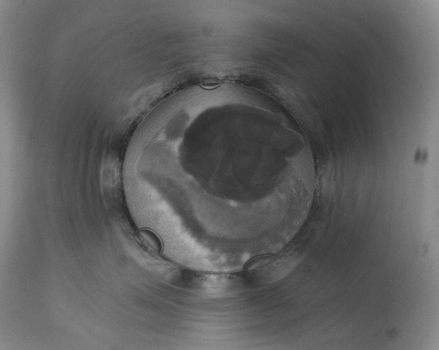 X0000115330623200911161810