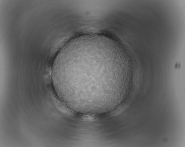 X0000115330624200911161810