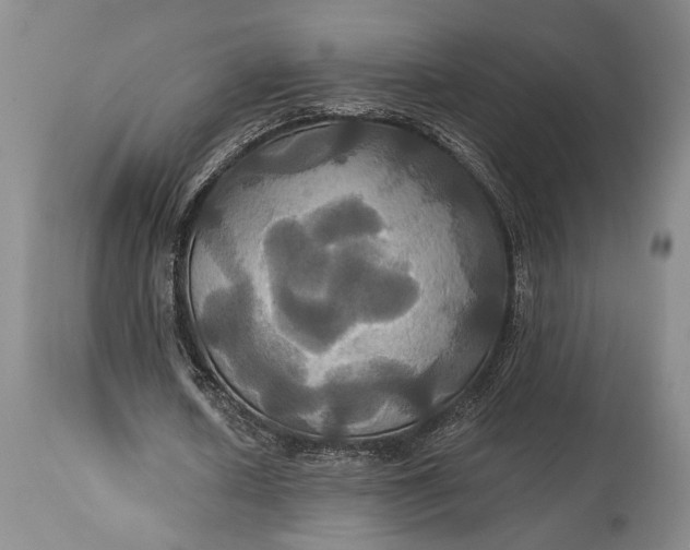X0000115330626200911161809