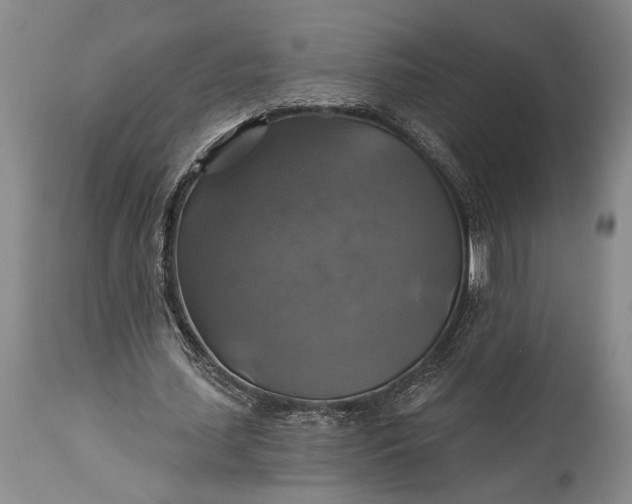 X0000115330627200911161809