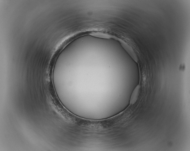 X0000115330628200911161809