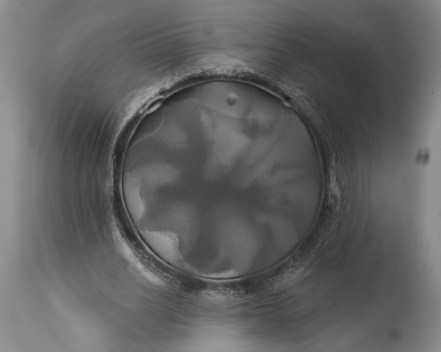 X0000115330630200911161810