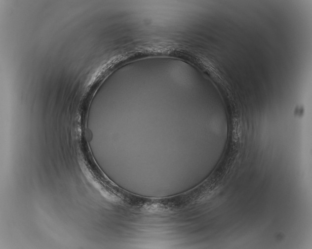X0000115330634200911161810