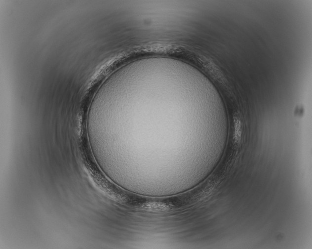 X0000115330636200911161810