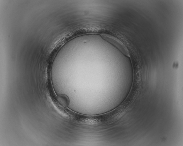 X0000115330638200911161810