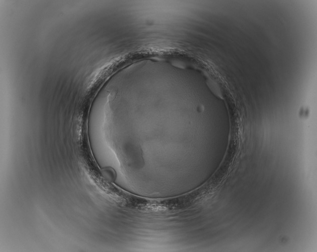 X0000115330640200911161810