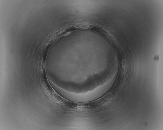 X0000115330641200911161810