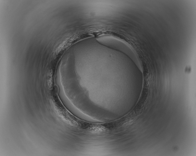 X0000115330642200911161810