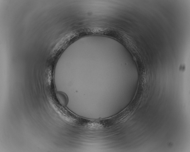 X0000115330644200911161810