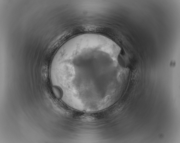 X0000115330648200911161810