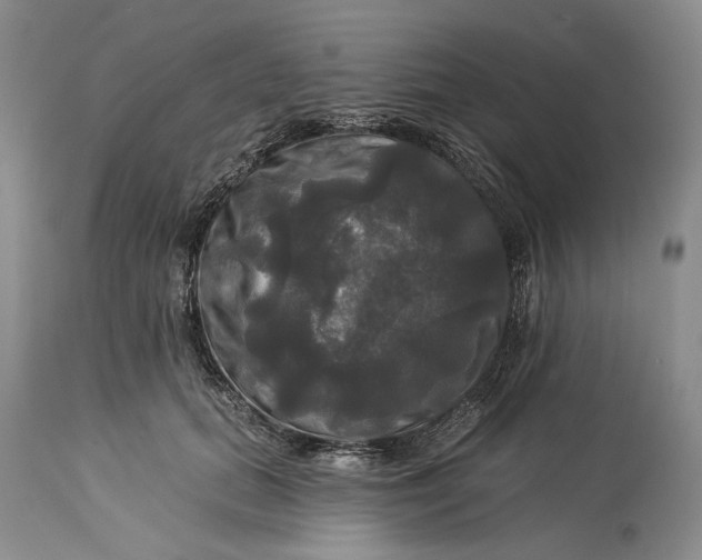 X0000115330655200911161810