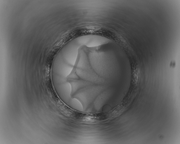 X0000115330657200911161810