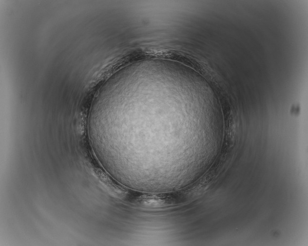 X0000115330658200911161810