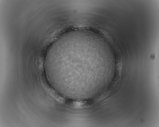 X0000115330662200911161810