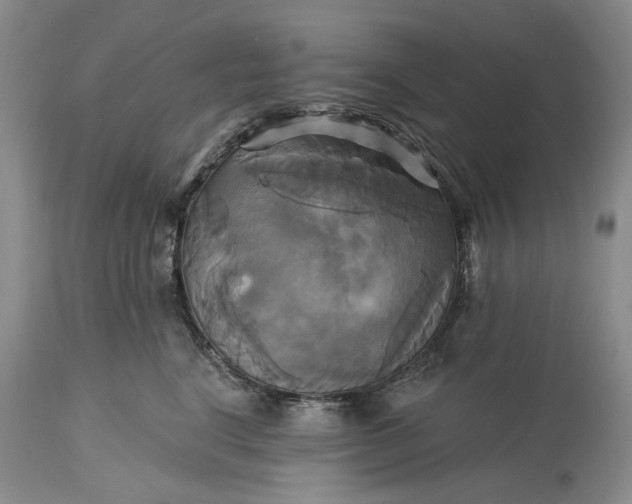X0000115330664200911161810