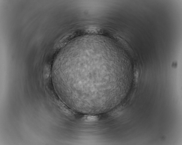 X0000115330665200911161810