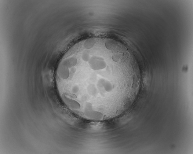 X0000115330667200911161810
