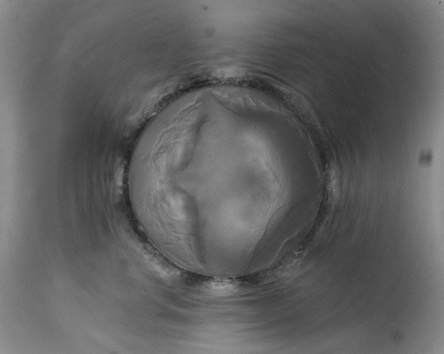 X0000115330668200911161810