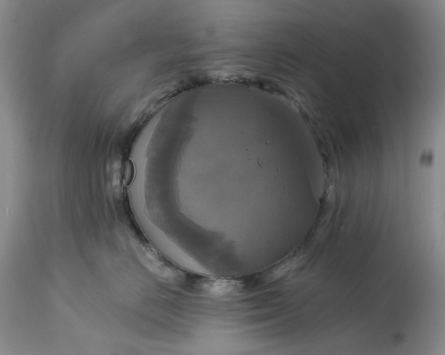 X0000115330670200911161810