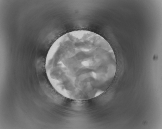 X0000115330672200911161810