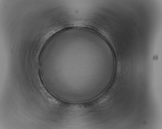 X0000115330673200911161809