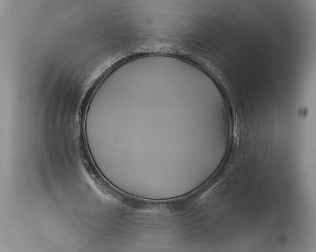 X0000115330674200911161809