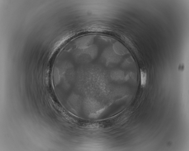 X0000115330675200911161809