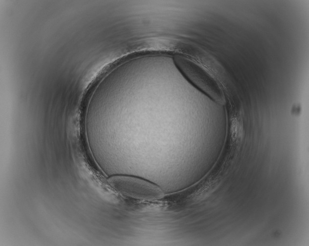 X0000115330676200911161809