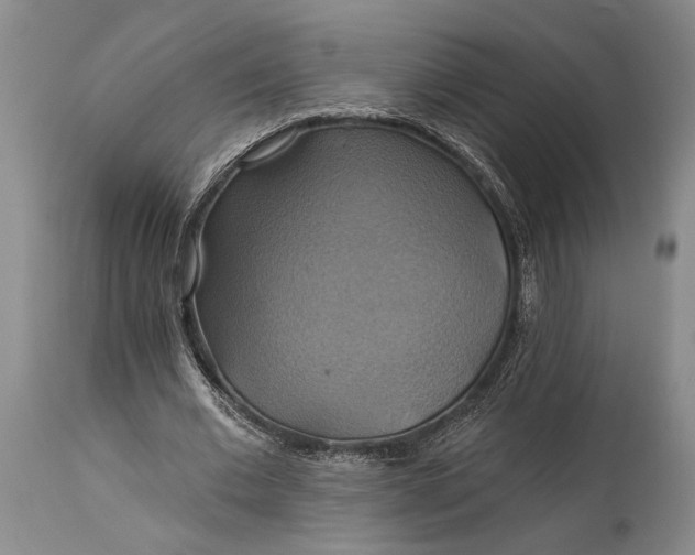 X0000115330677200911161809