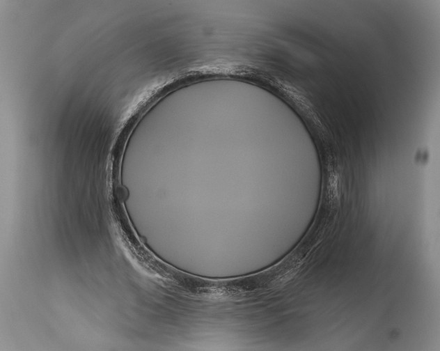 X0000115330678200911161809