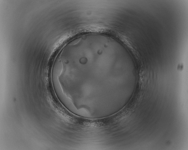 X0000115330679200911161809