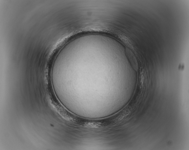 X0000115330680200911161809