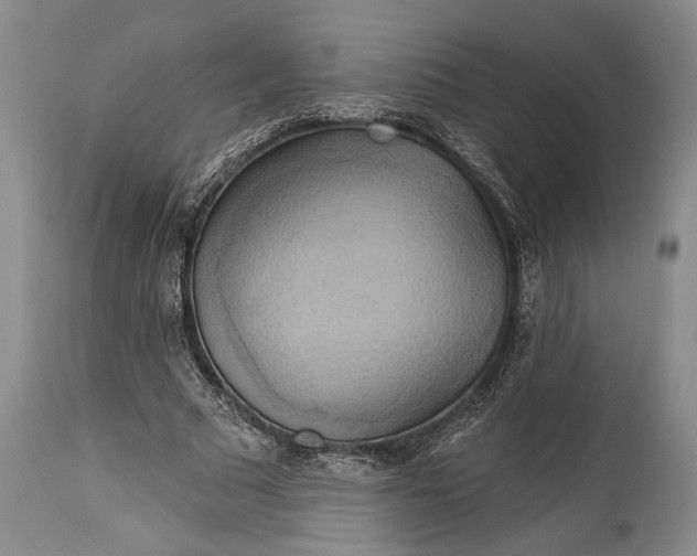 X0000115330681200911161809
