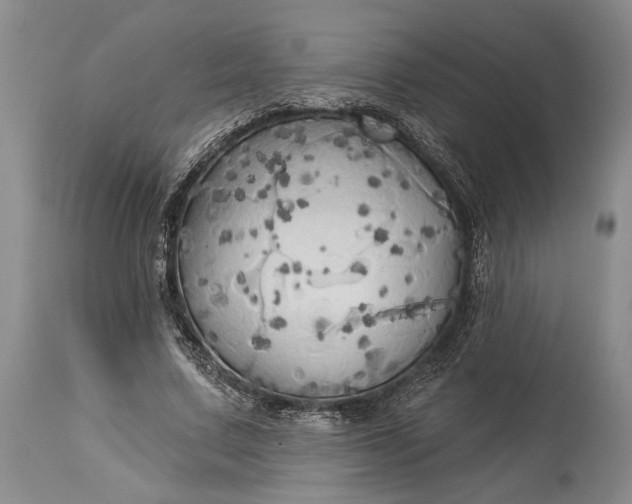 X0000115330683200911161809