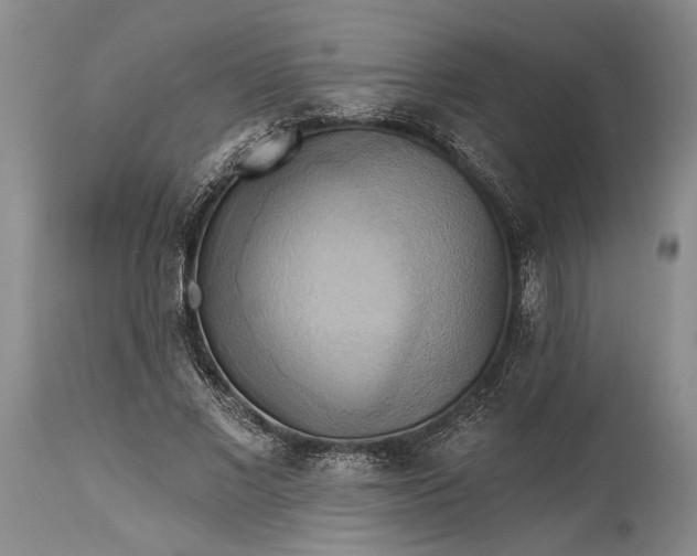 X0000115330685200911161809