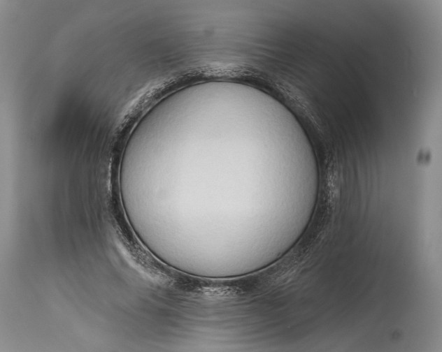 X0000115330686200911161809