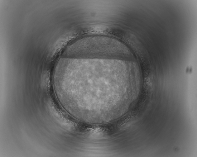 X0000115330688200911161809