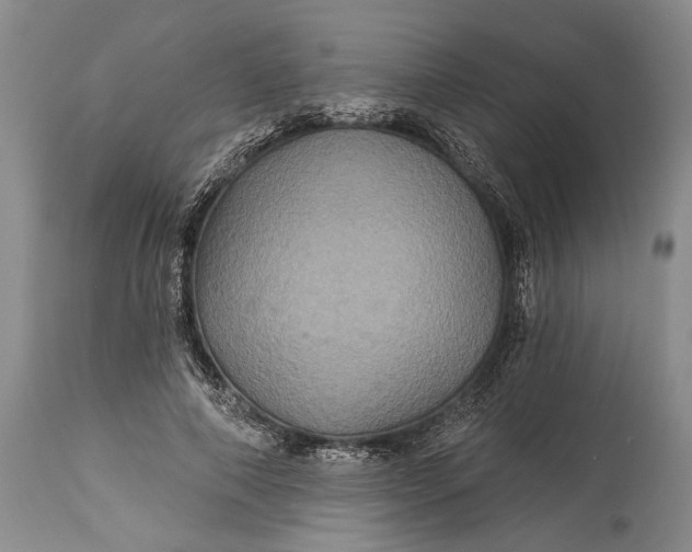 X0000115330690200911161809