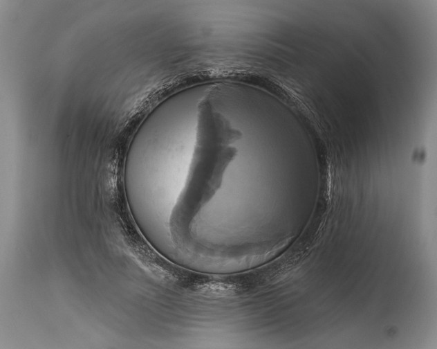 X0000115330691200911161809