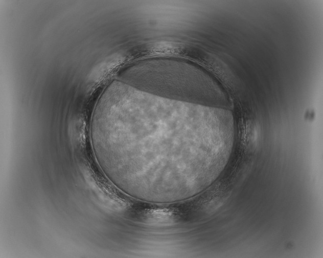 X0000115330692200911161809