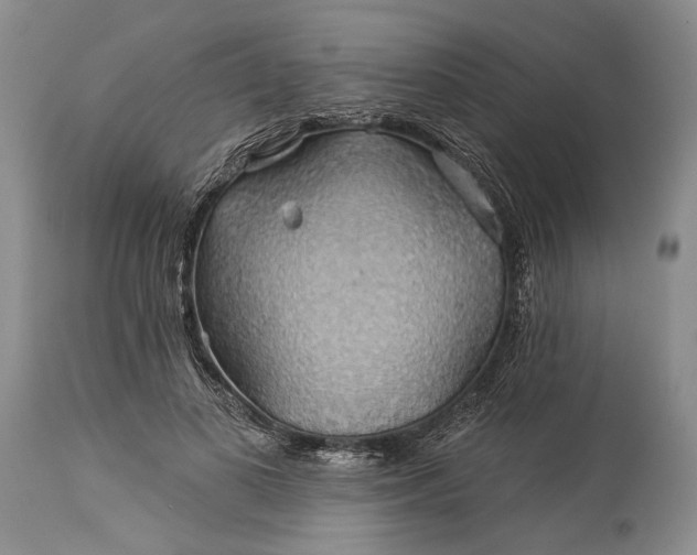 X0000115330693200911161809