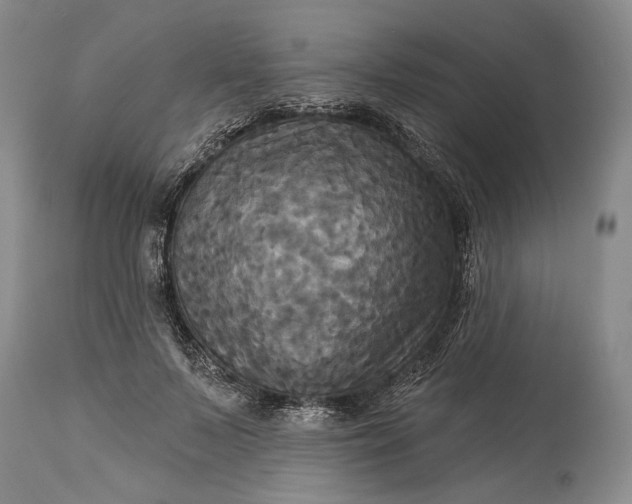 X0000115330695200911161809