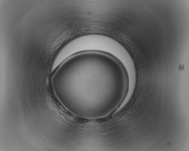 X0000115330696200911161809