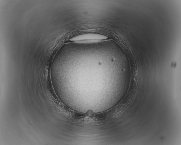 X0000115330697200911161809