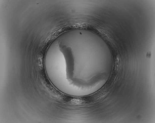 X0000115330699200911161809