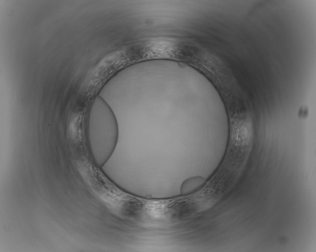X0000115330701200911161809