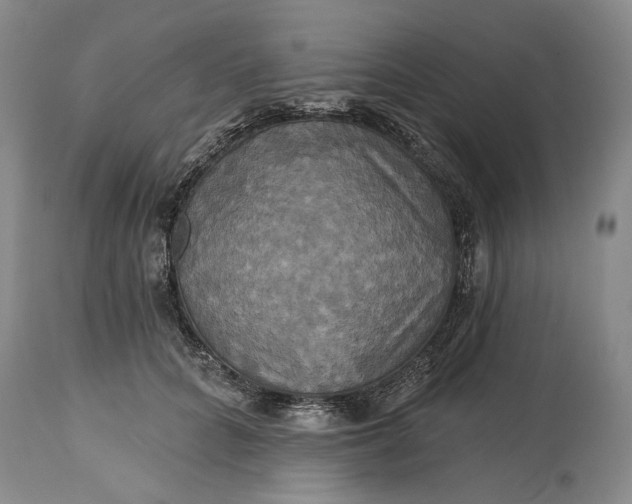 X0000115330704200911161809