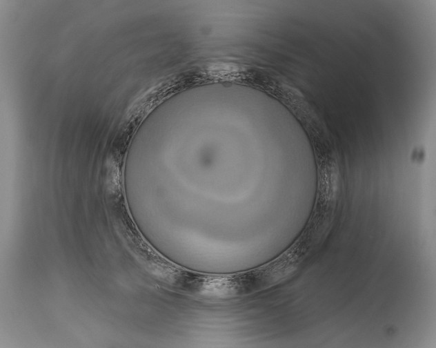 X0000115330705200911161809