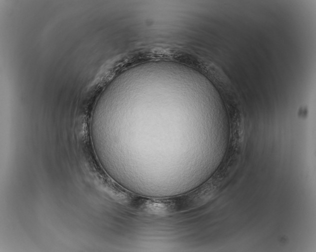 X0000115330706200911161809