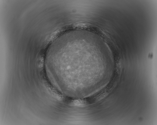 X0000115330708200911161809
